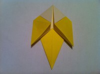 Step 9