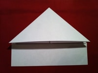 Step 8