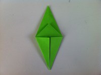 Step 12