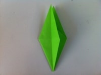 Step 15