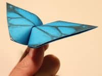 Origami Flapping Butterfly