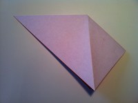Step 7