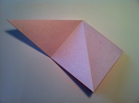 Step 9