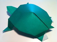Origami Turtle