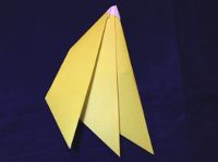 Step 8