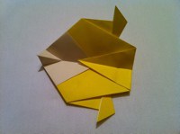 Step 16-2