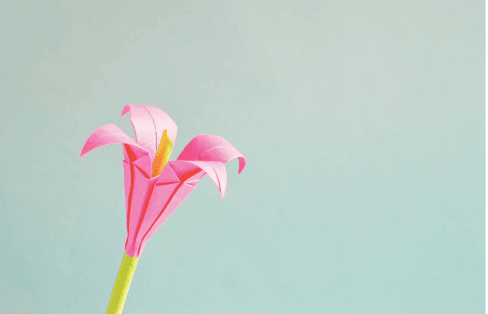 history of origami: art leaf white flower