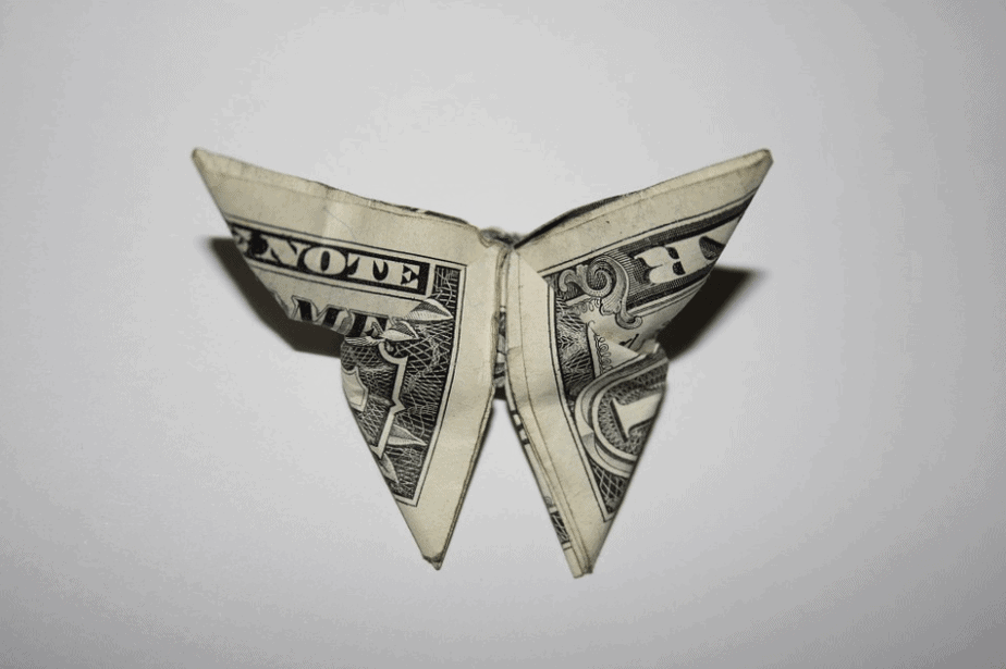 money butterfly origami dollar