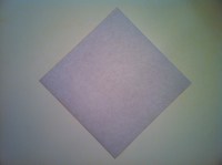 Origami Horse Step 1
