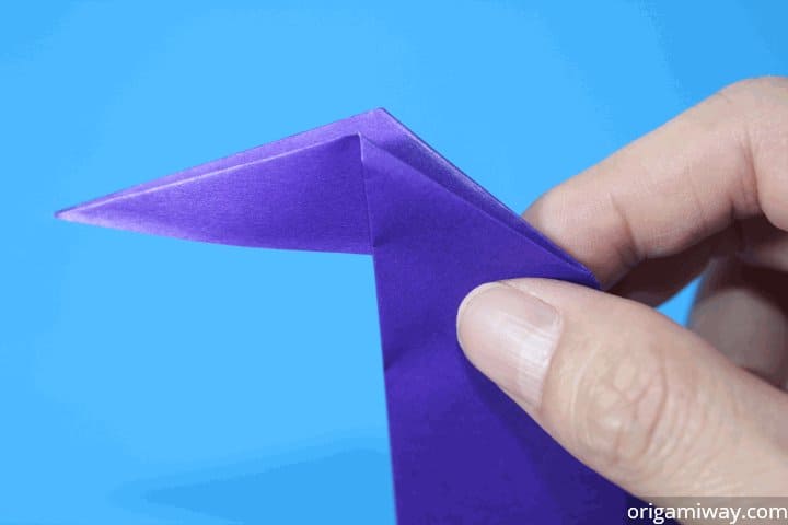 Origami Inside Reverse Fold
