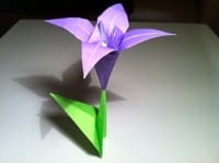 Origami Lily