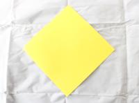 Origami Star Step 1