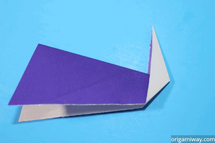 Origami Outside Fold
