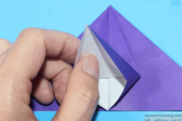 Origami Petal Fold Instructions