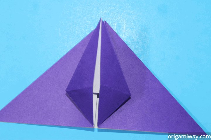 Origami Petal Fold