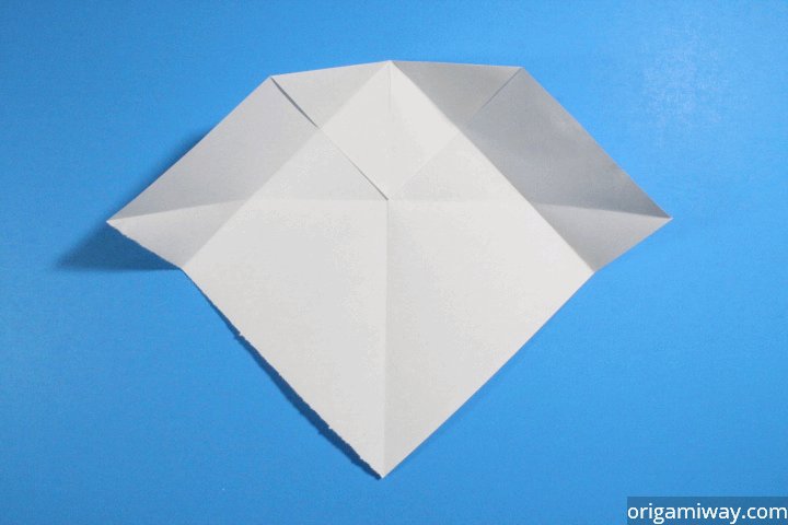 Step 11