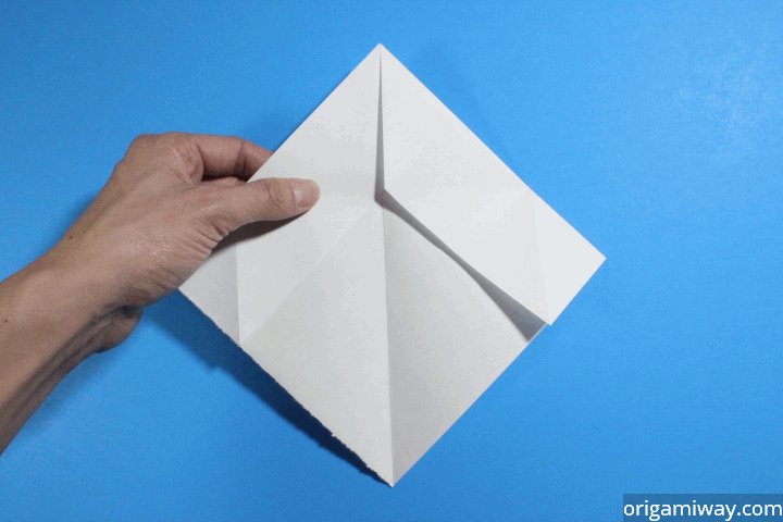 Step 12