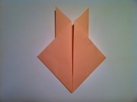 Step 5-2