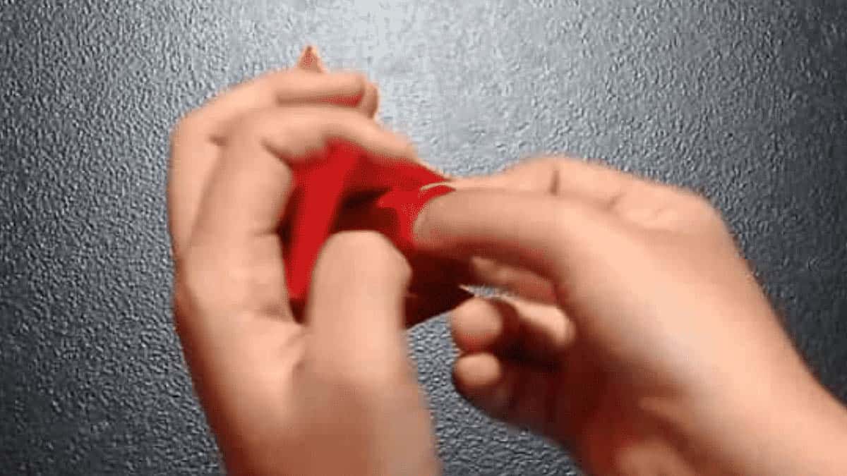 origami rose instructions step 16.1