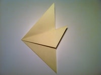 Step 8