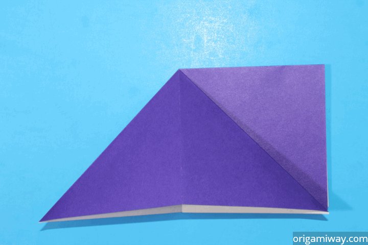 Origami Squash Fold Instructions