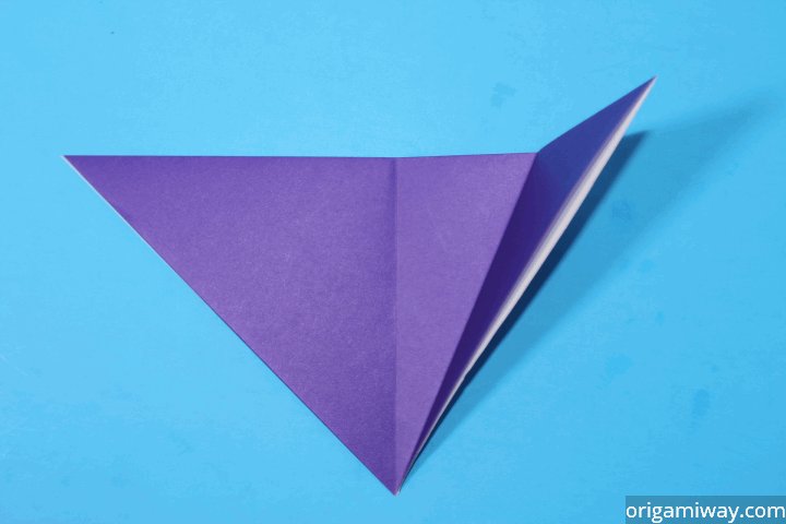 Origami Squash Fold Instructions