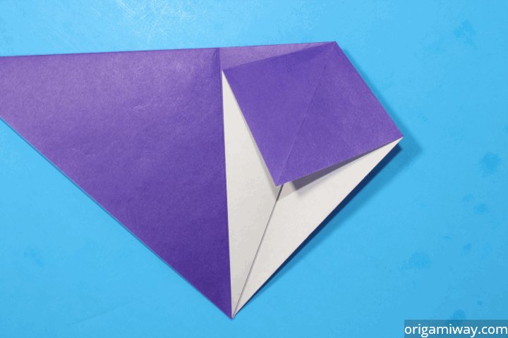 Origami Squash Fold Instructions