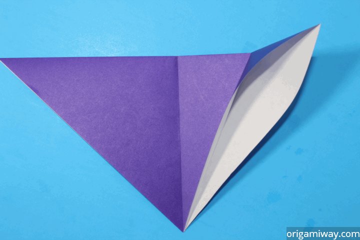 Origami Squash Fold Instructions