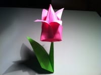 Origami Tulip