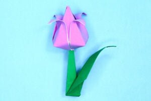 Origami Tulip Instructions (Step-by-step)