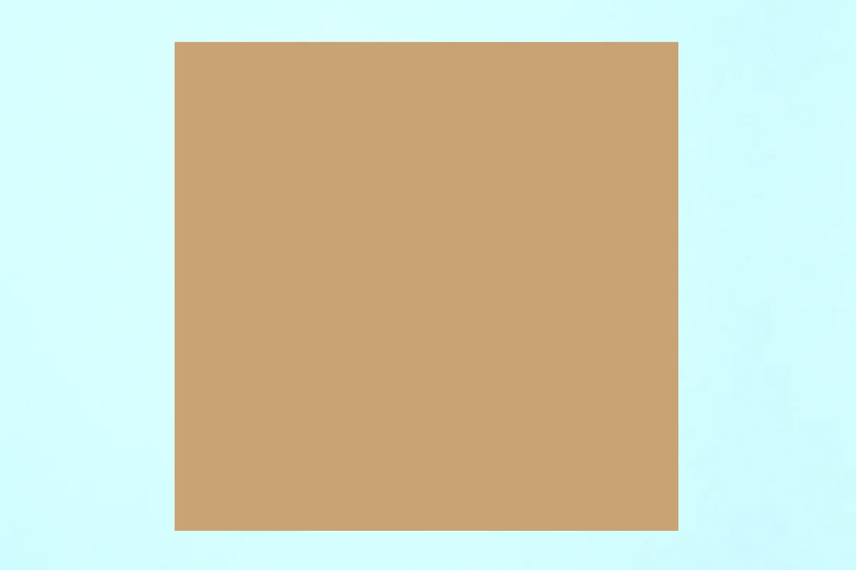 Duck origami step 01