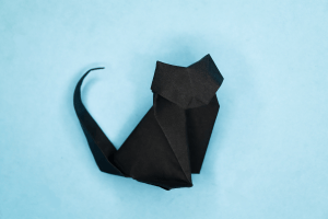 Origami Cat Instructions