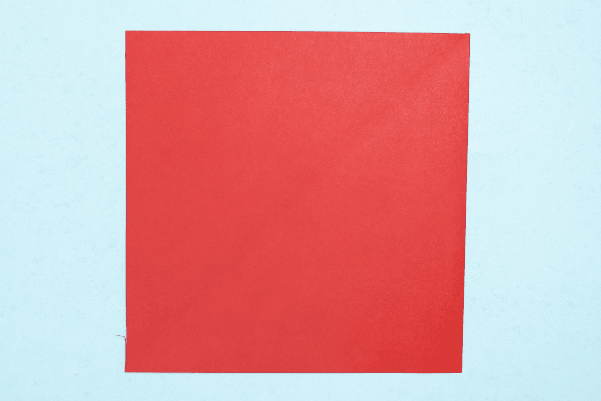 Origami Tie step 01