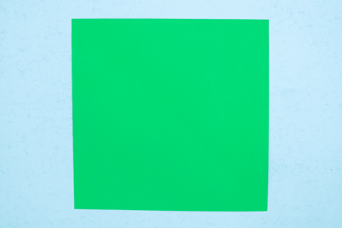 Origami whale step 01