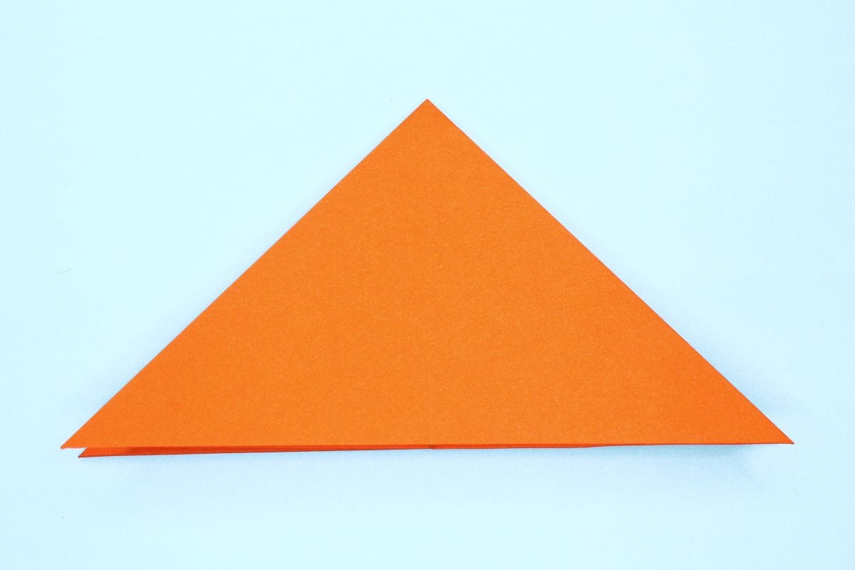 Petal fold step 01