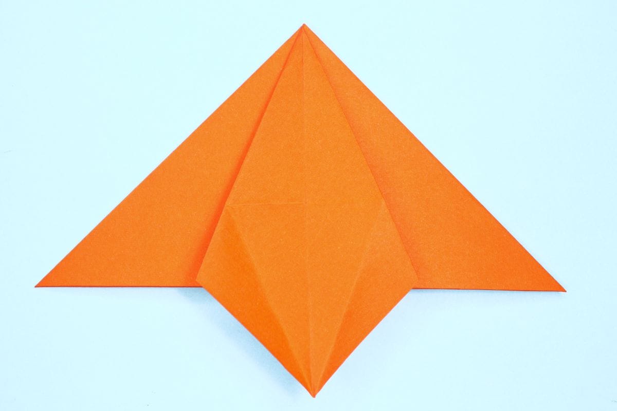 Petal fold step 08
