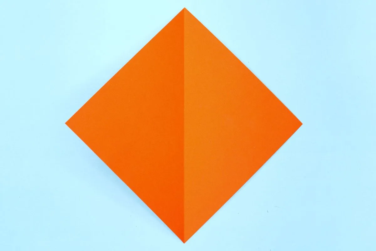 Squash fold3 step 04