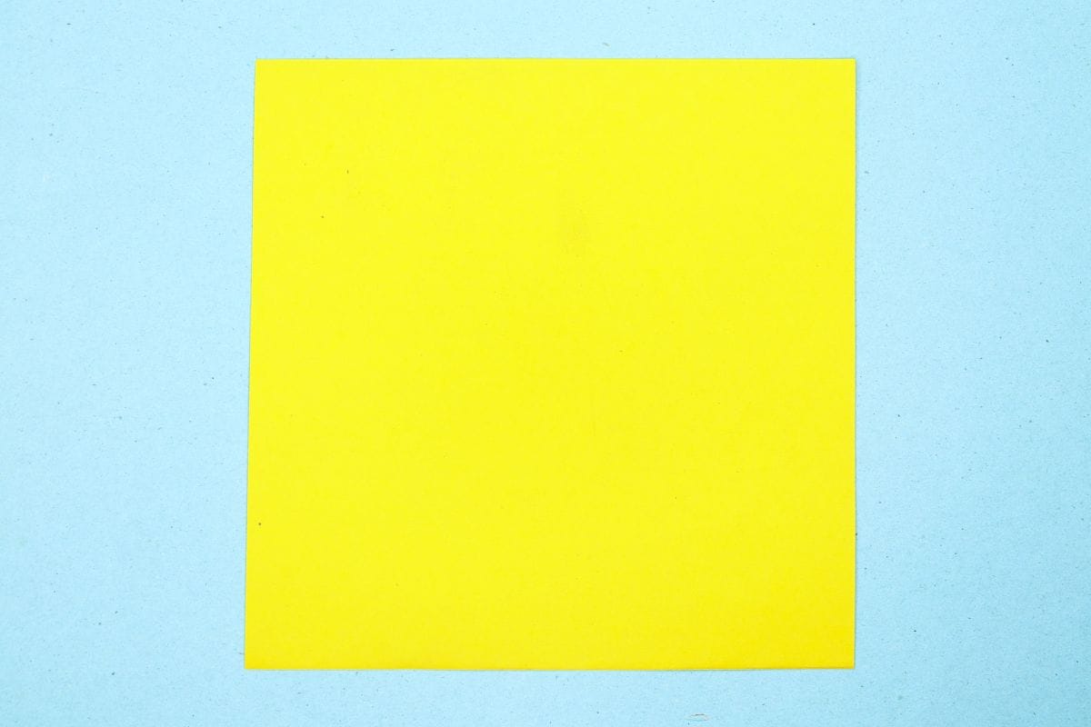 Humming bird step 01