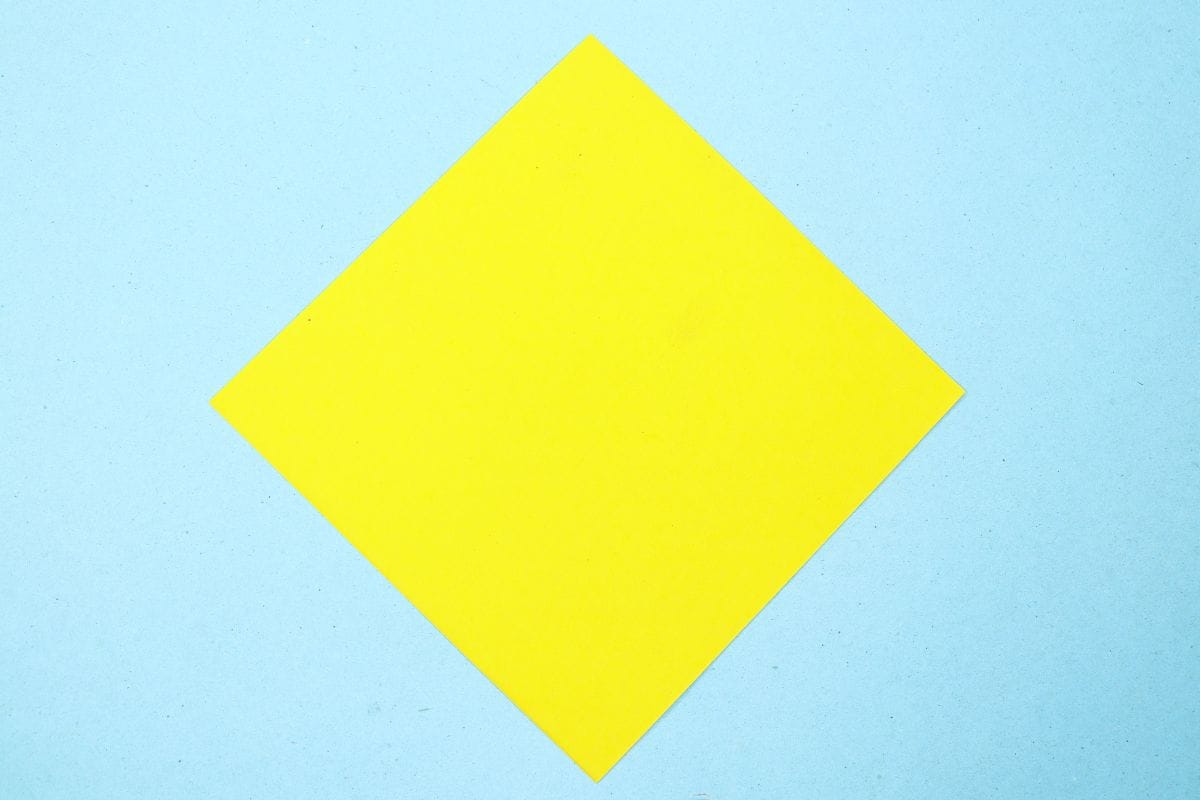 Humming bird step 02