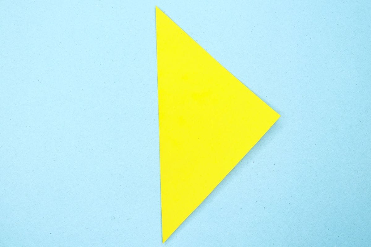 Humming bird step 03