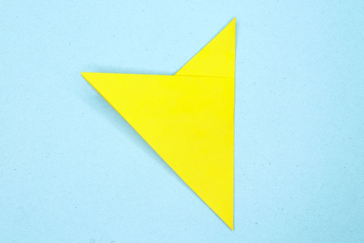 Humming bird step 07