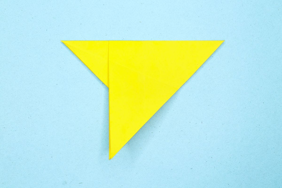 Humming bird step 08