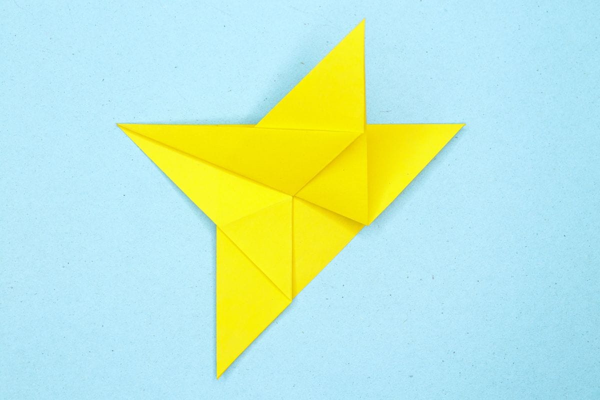 Humming bird step 09