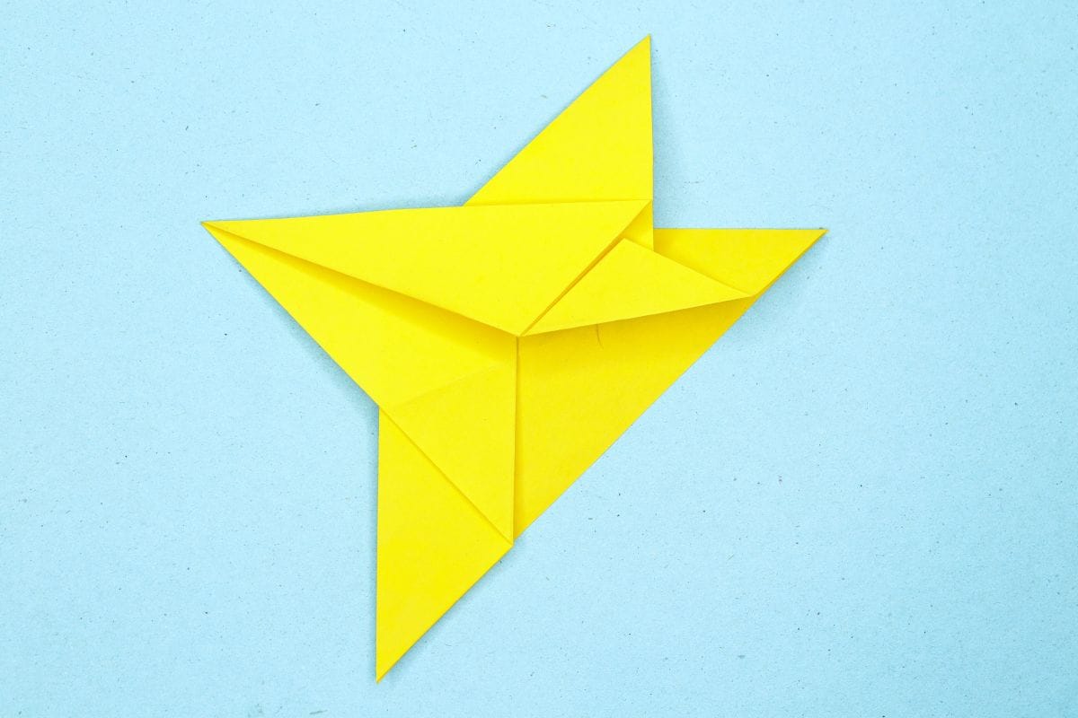 Humming bird step 10