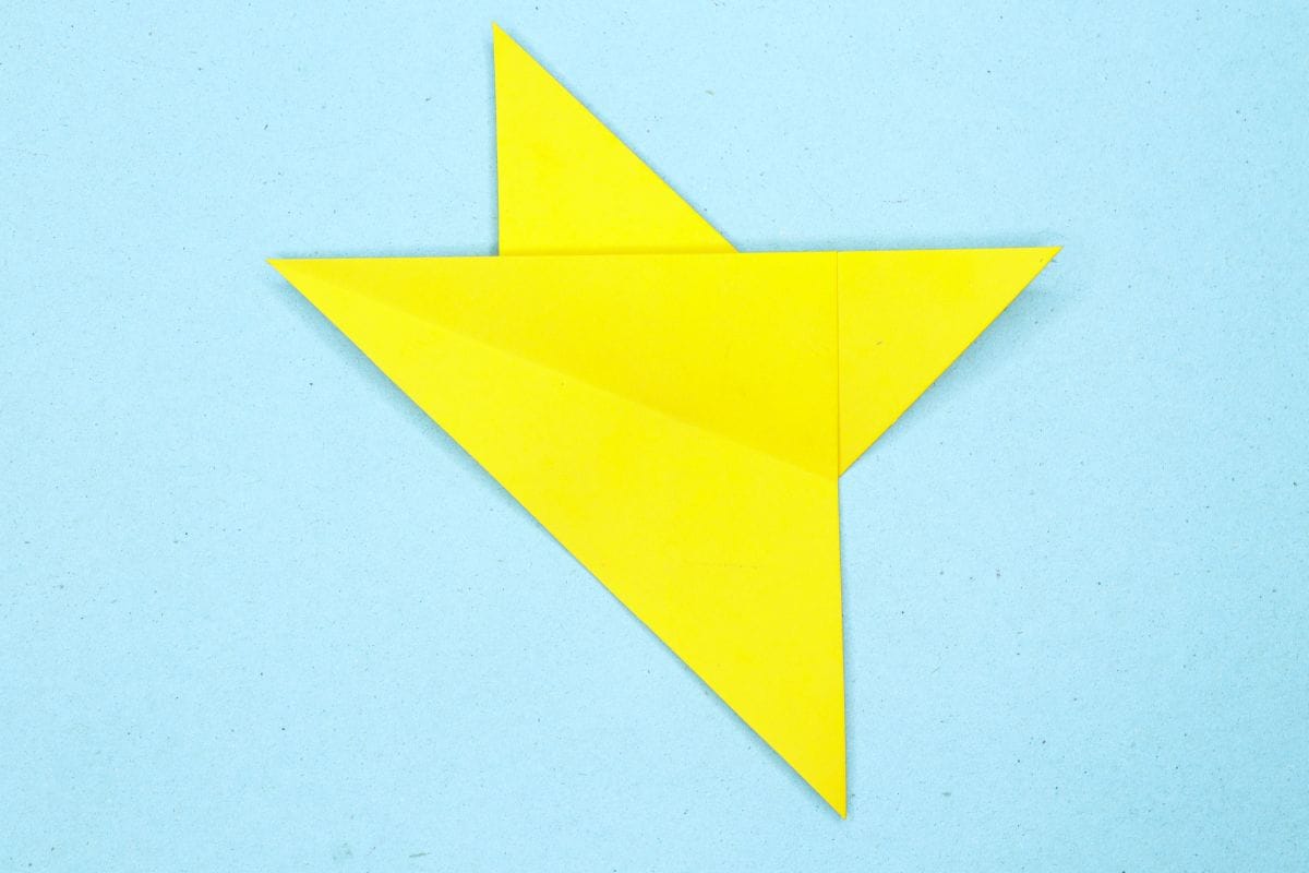 Humming bird step 11