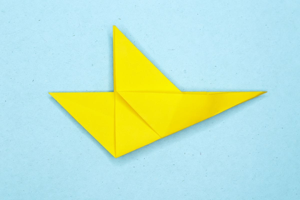 Humming bird step 12