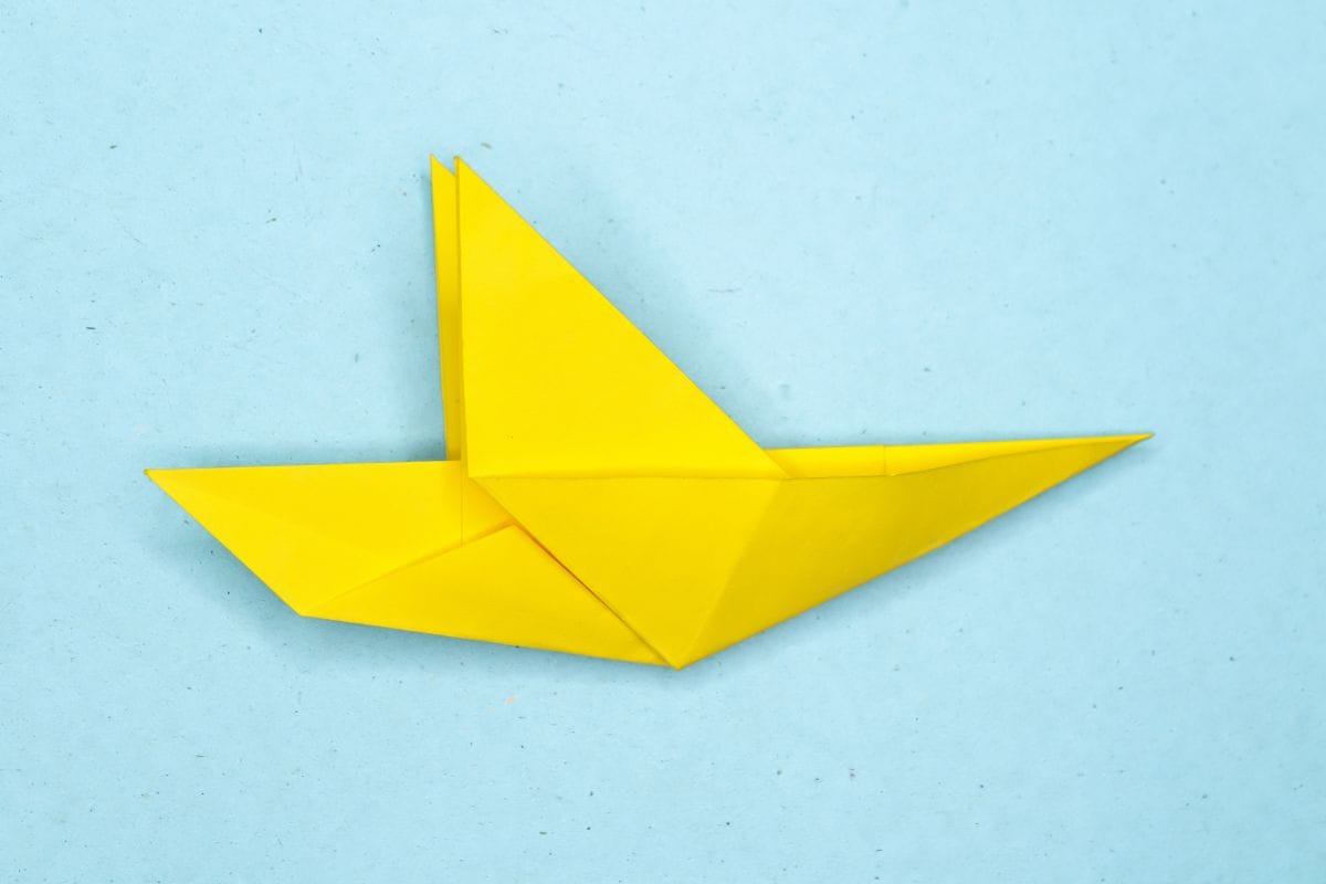 Humming bird step 13