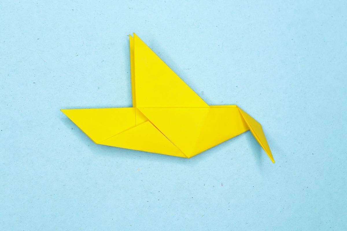 Humming bird step 14