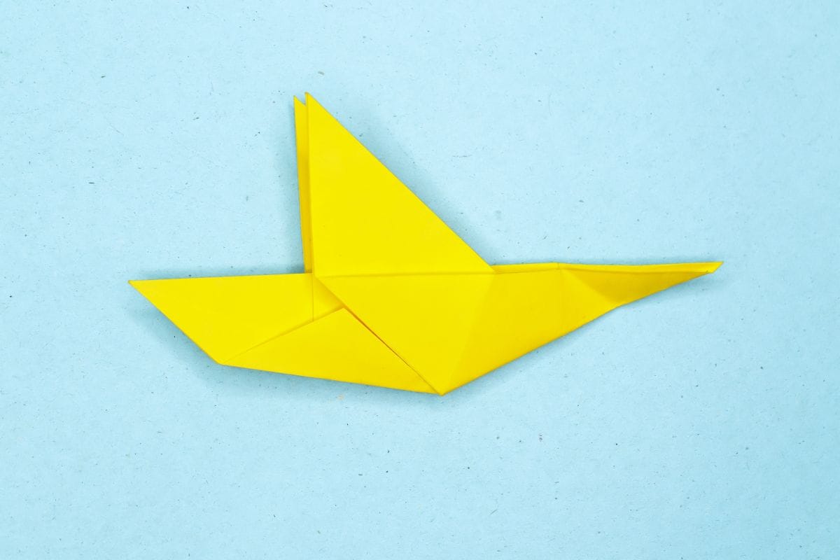 Humming bird step 15