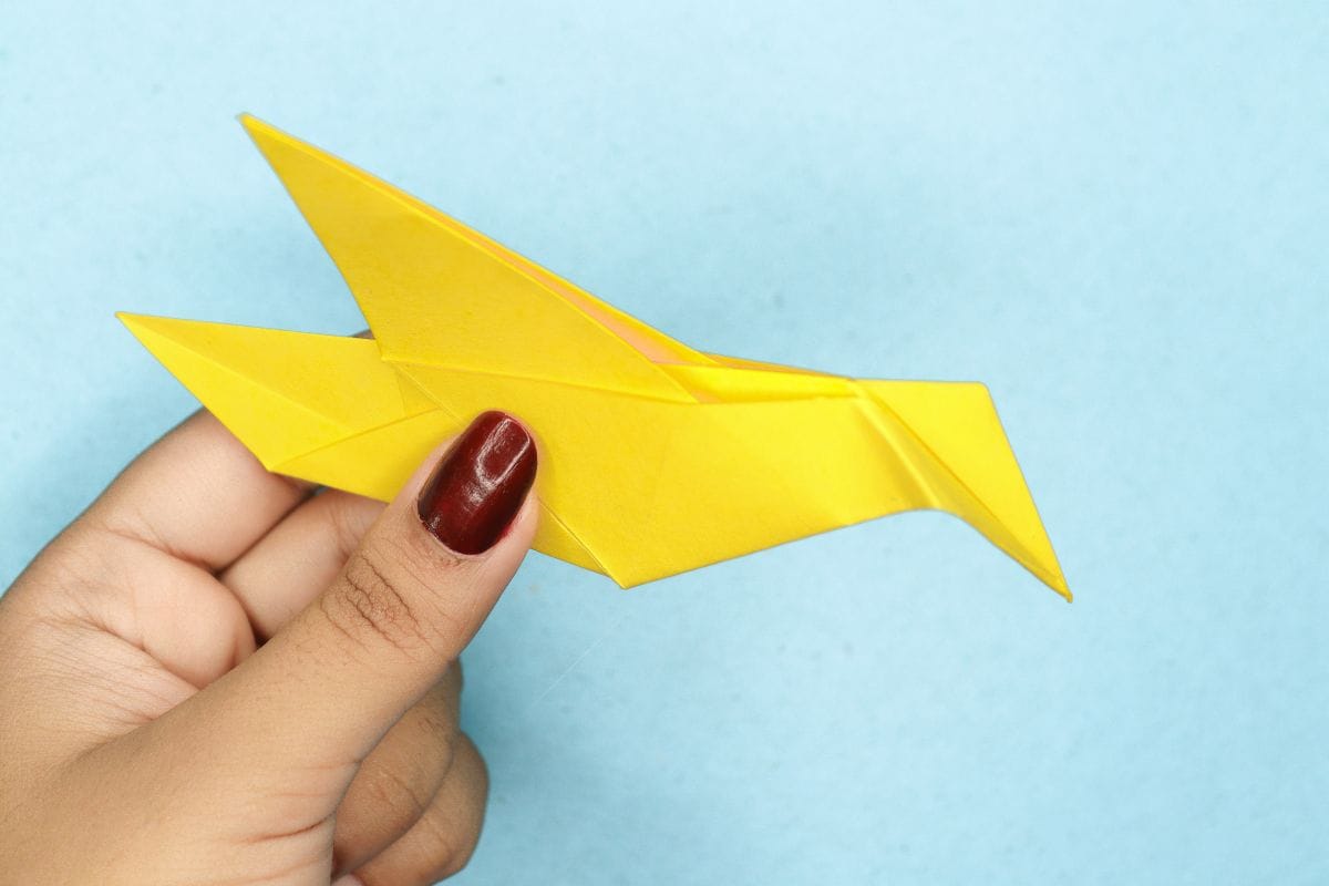 Humming bird step 17